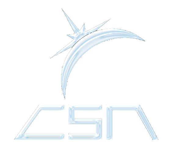 Fancy CSA logo